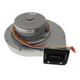 Takagi / AO Smith Primary Fan 100074606